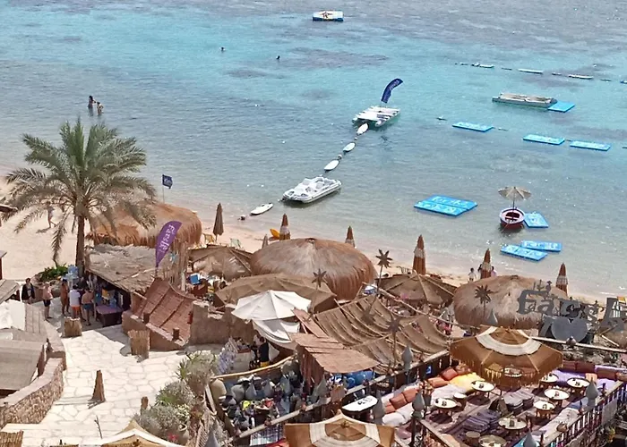 Naama Wiew- Alle Due Palme *