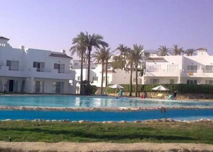 Naama Wiew- Alle Due Palme Daire