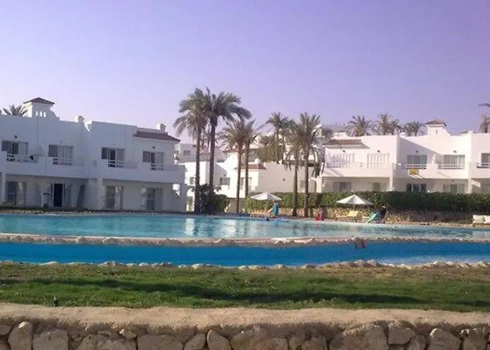 Naama Wiew- Alle Due Palme Daire *