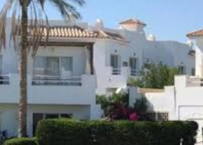 Naama Wiew- Alle Due Palme Daire