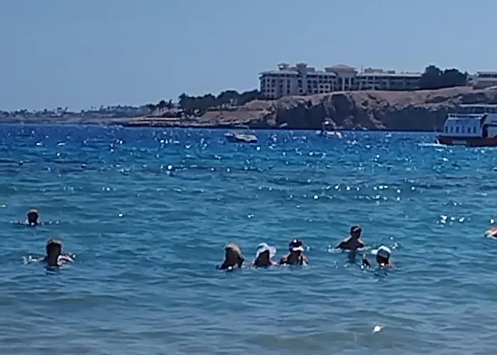 Naama Wiew- Alle Due Palme