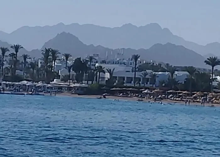 Naama Wiew- Alle Due Palme Daire