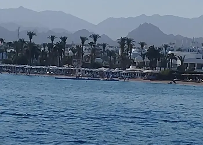 Naama Wiew- Alle Due Palme Daire *