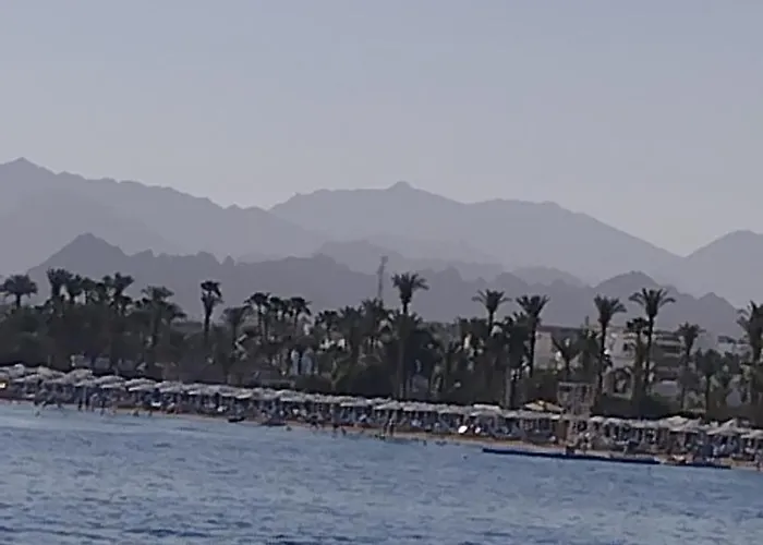 Naama Wiew- Alle Due Palme Daire Şarm El-Şeyh